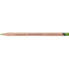 Derwent Lightfast färgpenna – Grass green 70% (2)